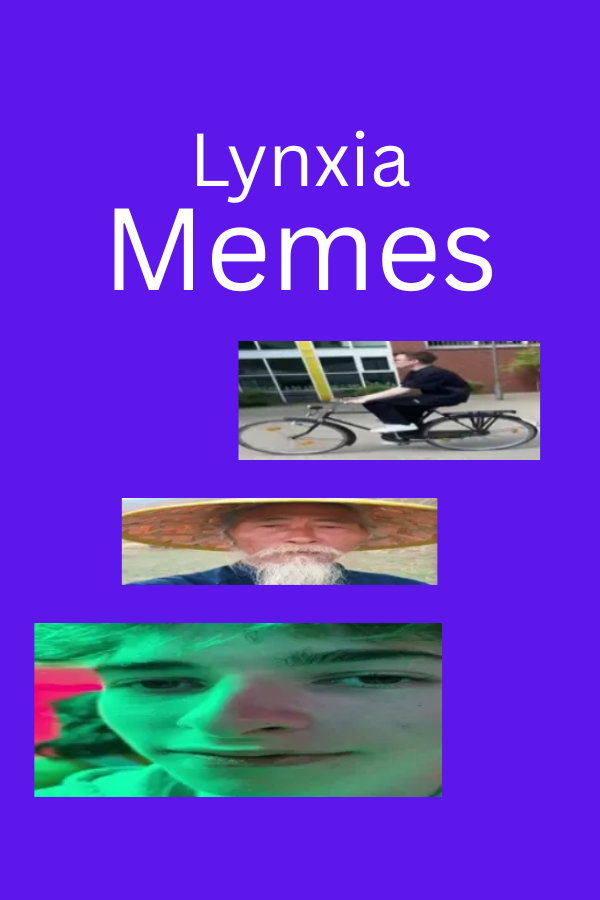 Memes Cover