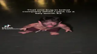 POV: Hoarding Bug