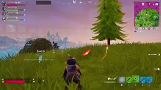 Ingame hallo?