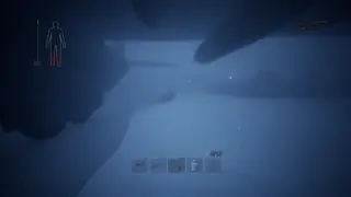 Fly